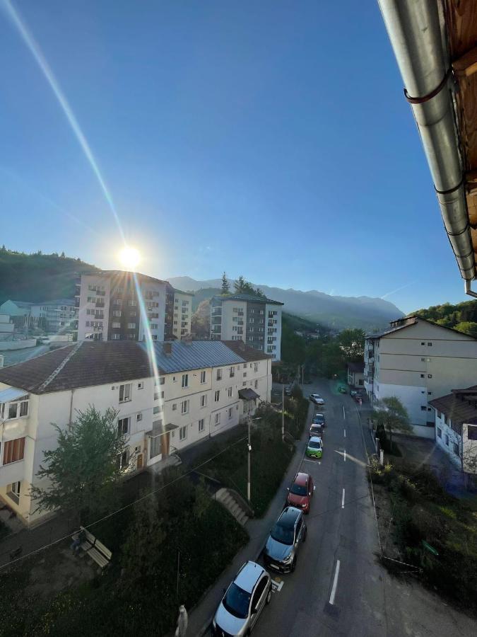 Delis Apartment Sinaia Exteriör bild
